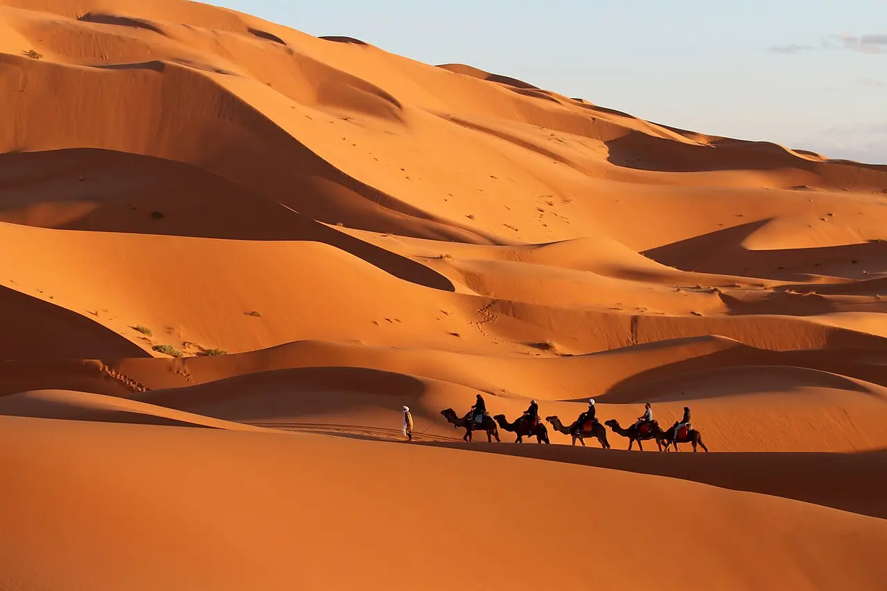 Caravana de dromedarios en las dunas del Sáhara marroquí